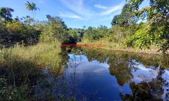 Imagem 2: Sítio com 21.400 m² de terreno e 300 metros de frente para o Rio Jeribucaçu. Itacaré Bahia