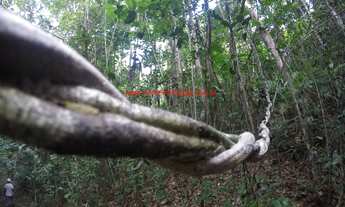 Imagem 6: Área com 245.000,00 m², com nascentes de água e com 1.000 metros de frente para o Rio do E