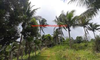 Imagem 2: Sítio com 120.000,00 m² (12 hectares), com produção de cacau, localizado a apenas 13 km do