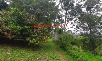 Imagem 3: Sítio com 120.000,00 m² (12 hectares), com produção de cacau, localizado a apenas 13 km do