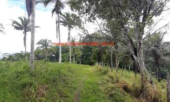 Imagem 4: Sítio com 120.000,00 m² (12 hectares), com produção de cacau, localizado a apenas 13 km do