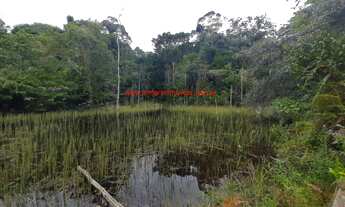 Imagem 4: Área em Itacaré/BA com 5,2 hectares (52.000 m²), com nascentes de água e represa recreativ