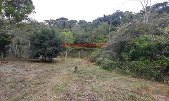 Imagem 7: Área em Itacaré/BA com 5,2 hectares (52.000 m²), com nascentes de água e represa recreativ