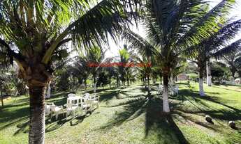 Imagem 4: Sítio com 10.763 m², com casa sede, área gourmet, margem com o Rio Jeribucaçu