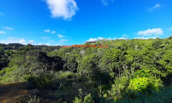 Imagem: Fazenda com 12 hectares (120.000 m²), água