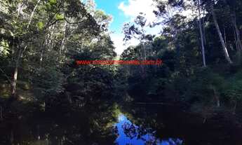 Imagem 4: Fazenda com 12 hectares (120.000 m²), água em abundância e próximo das Praias do Itacarezi