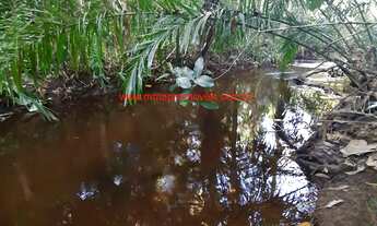 Imagem 5: Fazenda com 12 hectares (120.000 m²), água em abundância e próximo das Praias do Itacarezi