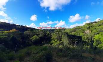 Imagem 2: Fazenda com 12 hectares (120.000 m²), água em abundância e próximo das Praias do Itacarezi