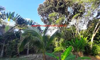 Imagem 5: Imóvel à venda em Itacaré Bahia, excelente localização, 3 flats já construídos e ampla áre