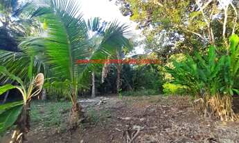 Imagem 4: Imóvel à venda em Itacaré Bahia, excelente localização, 3 flats já construídos e ampla áre