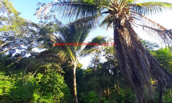 Imagem 6: Imóvel à venda em Itacaré Bahia, excelente localização, 3 flats já construídos e ampla áre