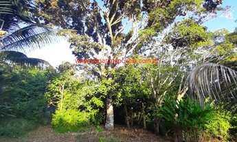 Imagem 7: Imóvel à venda em Itacaré Bahia, excelente localização, 3 flats já construídos e ampla áre