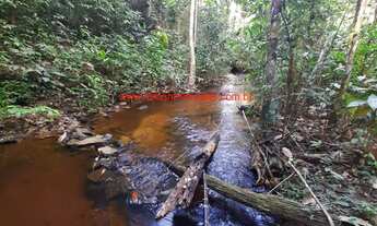 Imagem 3: Fazenda com 12 hectares (120.000 m²), água em abundância e próximo das Praias do Itacarezi