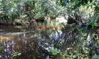 Imagem: Sítio com 21.400 m² de terreno e 300 metros