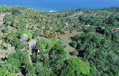 Imagem 3: Área com 30.000 m² no Centro da Vila de Serra Grande/BA