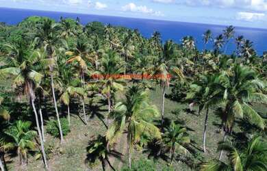 Imagem 2: Área com 30.000 m² no Centro da Vila de Serra Grande/BA