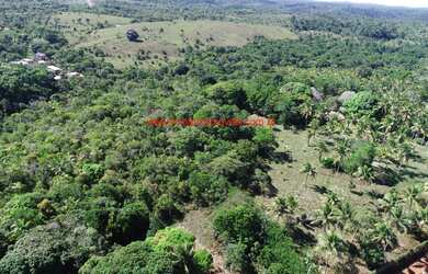 Imagem 5: Área com 30.000 m² no Centro da Vila de Serra Grande/BA