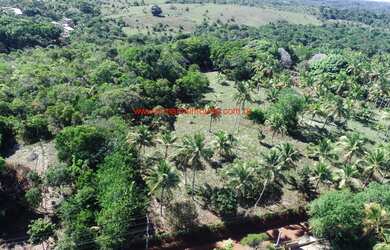 Imagem 4: Área com 30.000 m² no Centro da Vila de Serra Grande/BA