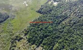 Imagem 7: Área com 69.831 m², com 255 metros de frente para a Rodovia BA 001. A 300 metros da Praia