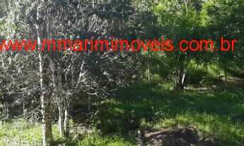 Imagem 7: Sítio com 20.000 m², próximo as praias e do centro de Itacaré Bahia