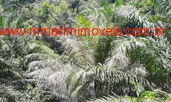 Imagem 5: Casa à venda em Itacaré Bahia, terreno com 2.000 m² e construção com 200 m²