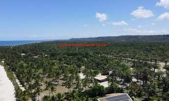 Imagem: Lotes residenciais com 900 m², Pé na