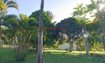 Imagem 2: Sítio com 3.8 hectares (38 mil m²), com 2 casas, mata preservada, apenas 3 km das praias