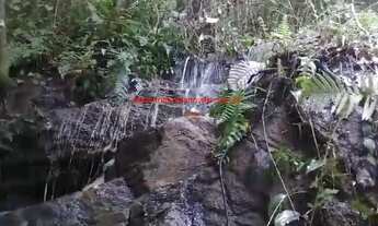 Imagem 6: Sítio com 120.000,00 m² (12 hectares), com produção de cacau, localizado a apenas 13 km do