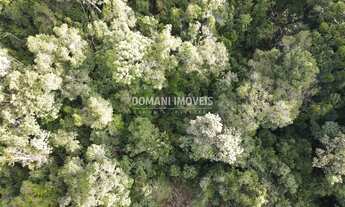 Imagem 7: 1030M² de Área Total