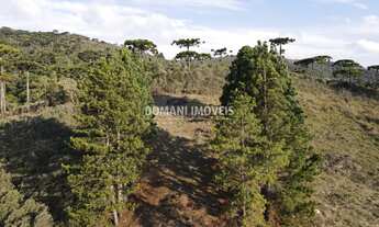 Imagem 3: TERRENO RESIDENCIAL em CAMPOS DO JORDÃO - SP, Região do Imbiri