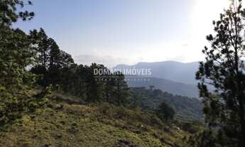 Imagem: 1360M² de Área Total