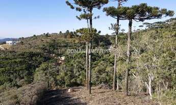 Imagem: 1100M² de Área Total