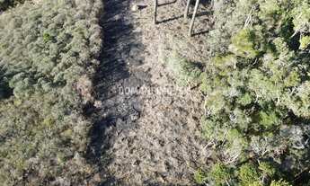 Imagem 5: TERRENO RESIDENCIAL em CAMPOS DO JORDÃO - SP, Região do Imbiri