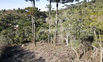 Imagem 7: TERRENO RESIDENCIAL em CAMPOS DO JORDÃO - SP, Região do Imbiri
