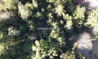 Imagem 6: TERRENO RESIDENCIAL em CAMPOS DO JORDÃO - SP, Região do Alto do Capivari