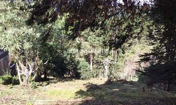 Imagem 3: 920M² de Área Total