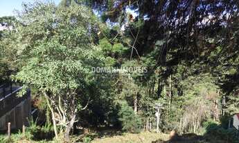 Imagem 5: 920M² de Área Total