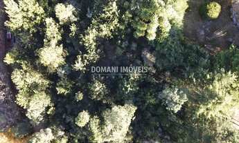 Imagem 4: TERRENO RESIDENCIAL em CAMPOS DO JORDÃO - SP, Região do Alto do Capivari