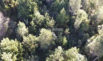 Imagem 2: TERRENO RESIDENCIAL em CAMPOS DO JORDÃO - SP, Região do Alto do Capivari