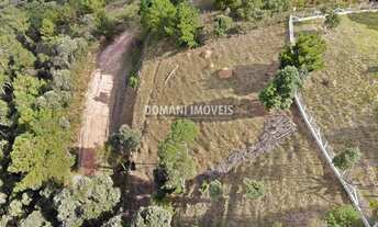 Imagem: 1050M² de Área Total