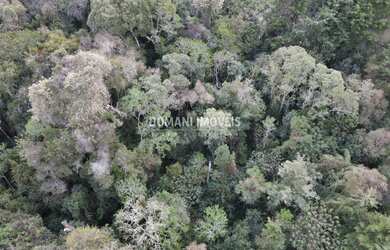 Imagem 7: TERRENO RESIDENCIAL em CAMPOS DO JORDÃO - SP, Região da Vila Inglesa