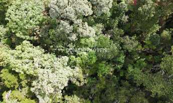 Imagem 7: Terreno RESIDENCIAL em CAMPOS DO JORDÃO - SP, Região do Alto do Capivari