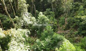 Imagem 6: TERRENO RESIDENCIAL em CAMPOS DO JORDÃO - SP, Região do Vale Encantado
