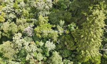 Imagem 3: Terreno RESIDENCIAL em CAMPOS DO JORDÃO - SP, Região do Alto do Capivari