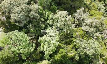 Imagem 4: Terreno RESIDENCIAL em CAMPOS DO JORDÃO - SP, Região do Alto do Capivari