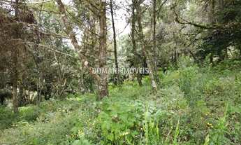 Imagem 7: 1990M² de Área Total