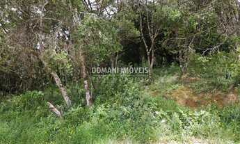 Imagem 2: 1990M² de Área Total