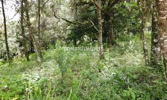 Imagem 5: 1990M² de Área Total