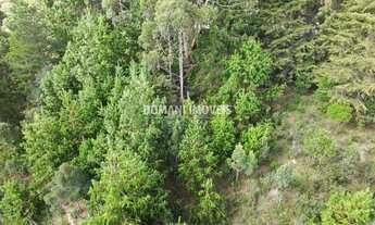 Imagem 7: TERRENO RESIDENCIAL em CAMPOS DO JORDÃO - SP, Região do Vale Encantado