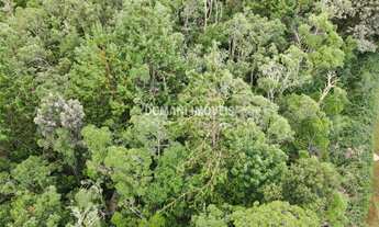 Imagem 2: TERRENO RESIDENCIAL em CAMPOS DO JORDÃO - SP, Região do Alto do Capivari